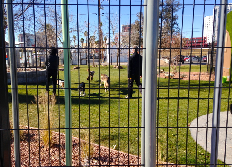 Illustration for article titled Visiting the Downtown Project's New Vegas Parks: Pretty, But Private